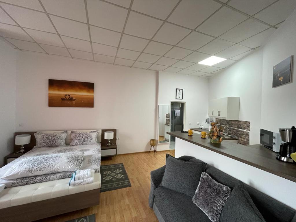 Panorama Studio Sighişoara Dış mekan fotoğraf