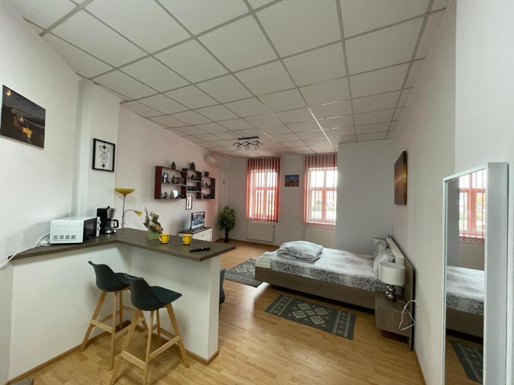 Panorama Studio Sighişoara Dış mekan fotoğraf