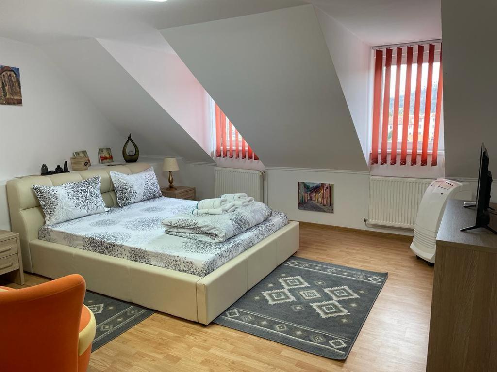 Panorama Studio Sighişoara Dış mekan fotoğraf