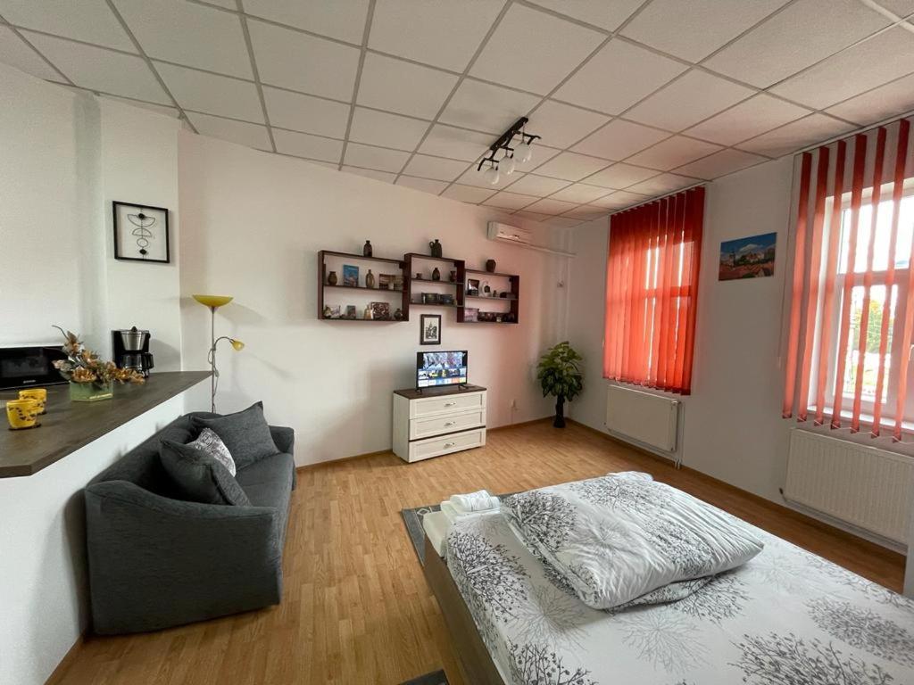 Panorama Studio Sighişoara Dış mekan fotoğraf