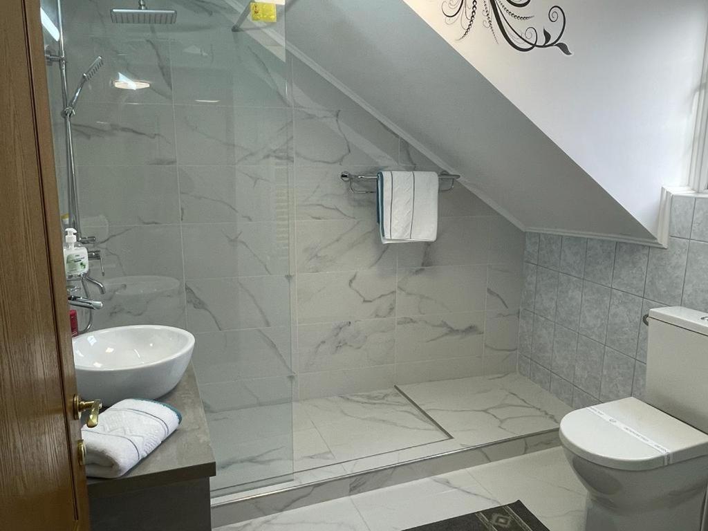 Panorama Studio Sighişoara Dış mekan fotoğraf