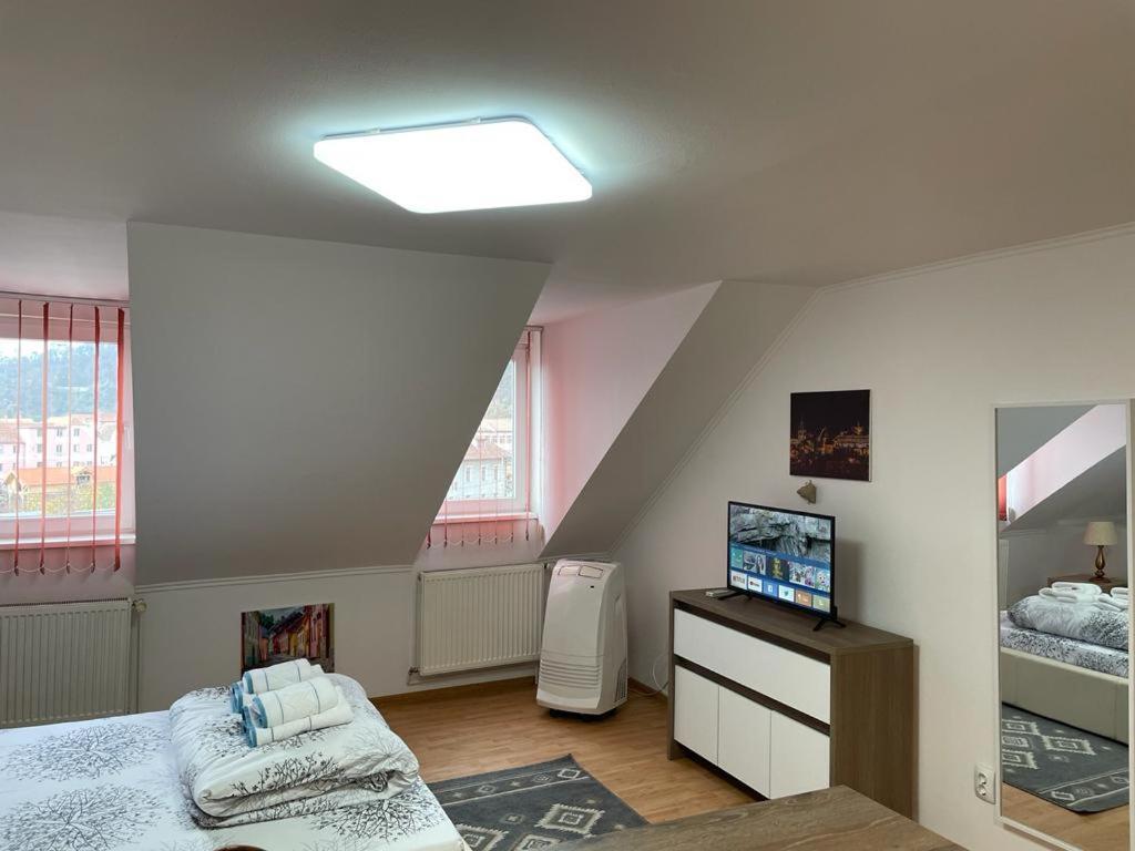 Panorama Studio Sighişoara Dış mekan fotoğraf